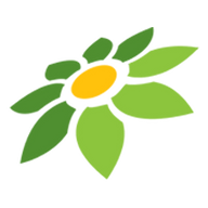 LINK SPINHOKI